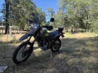 IMG_1922.jpeg