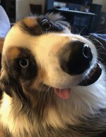 IMG_8251.jpeg