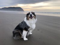 IMG_1176.jpeg