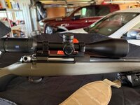 IMG_2079.jpeg