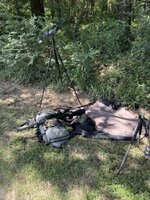 IMG_4410.jpeg IMG_4410.jpeg