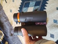 IMG_20260621_161400022.jpg