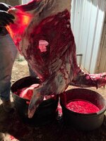 IMG_4306.jpeg