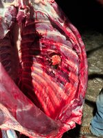 IMG_4304.jpeg