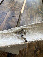 IMG_0309.jpeg