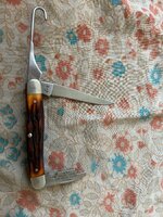 IMG_3450.jpeg
