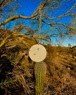 IMG_4638.jpeg