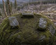 IMG_1055.jpeg