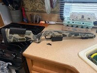 IMG_1169.jpeg IMG_1169.jpeg