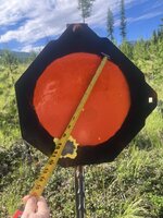 IMG_4143.jpeg