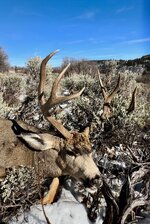 IMG_0063.jpeg