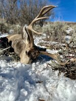 IMG_1986.jpeg