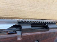 IMG_8163.jpeg