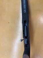 IMG_8155.jpeg