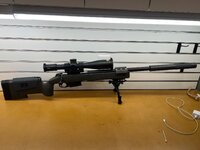 IMG_8181.jpeg