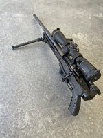 IMG_3304.jpeg