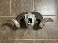 IMG_6831.jpeg