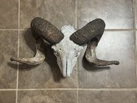 IMG_6830.jpeg