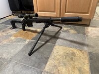 IMG_1661.jpeg
