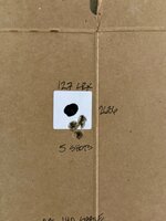 IMG_6639.jpeg
