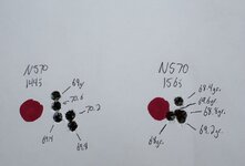 IMG_7925.jpeg