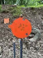 IMG_4416.jpeg