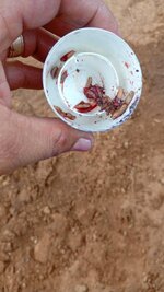 IMG_1765.jpeg IMG_1765.jpeg