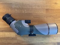 IMG_6695.jpeg