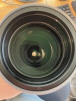 IMG_6704.jpeg