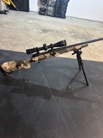IMG_0324.jpeg