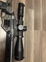 IMG_7286.jpeg