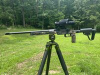IMG_3652.jpeg
