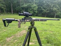 IMG_3657.jpeg