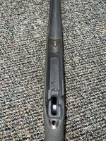 IMG_4935.jpeg
