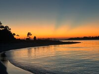 IMG_6228.jpeg