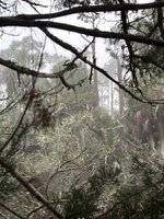 IMG_6239.jpeg
