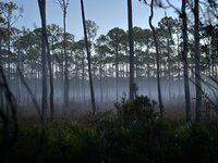 IMG_6257.jpeg