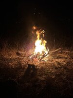 IMG_6254.jpeg