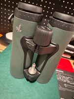 IMG_5358.jpeg