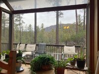 bay window.jpeg