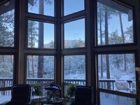 first snow.jpeg