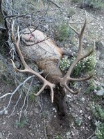 IMG_1637.JPG