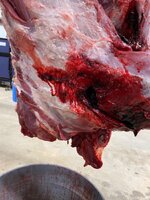 IMG_9018.jpeg