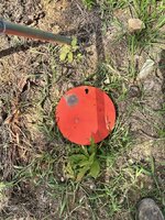 IMG_5894.jpeg