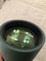 IMG_5337.jpeg