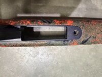 IMG_5562 2.jpeg