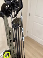 IMG_0160.jpeg