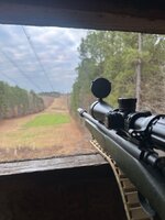 IMG_5662.jpeg