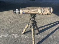 IMG_4774.jpeg