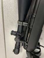IMG_4780.jpeg
